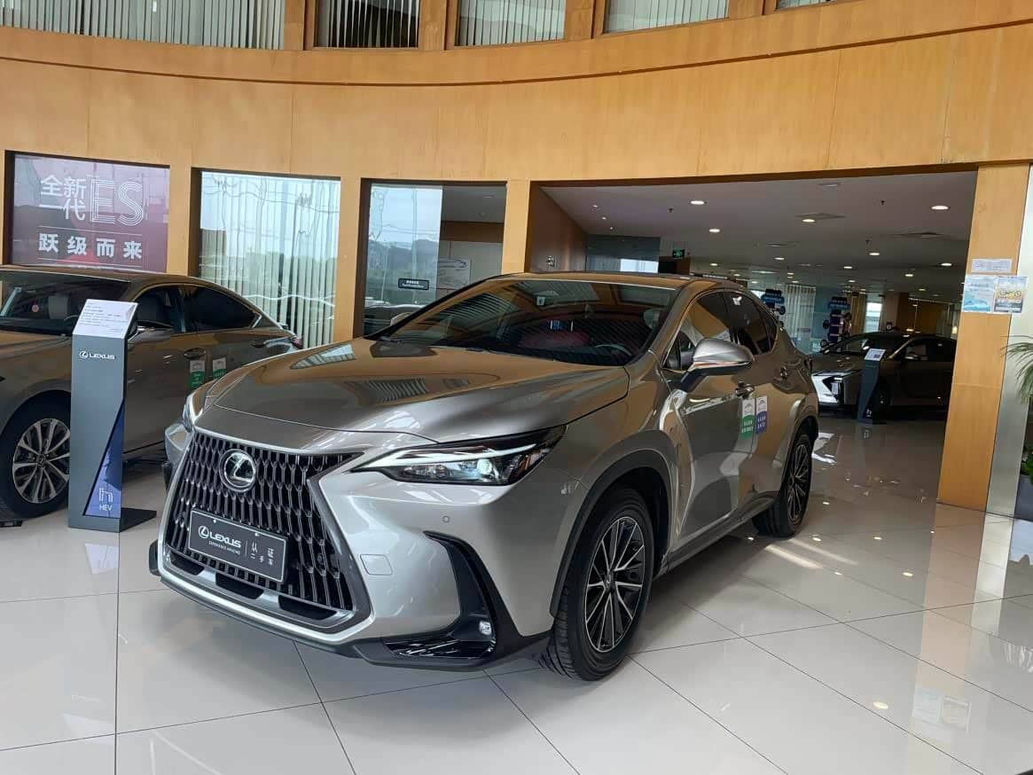 Lexus NX New Energy