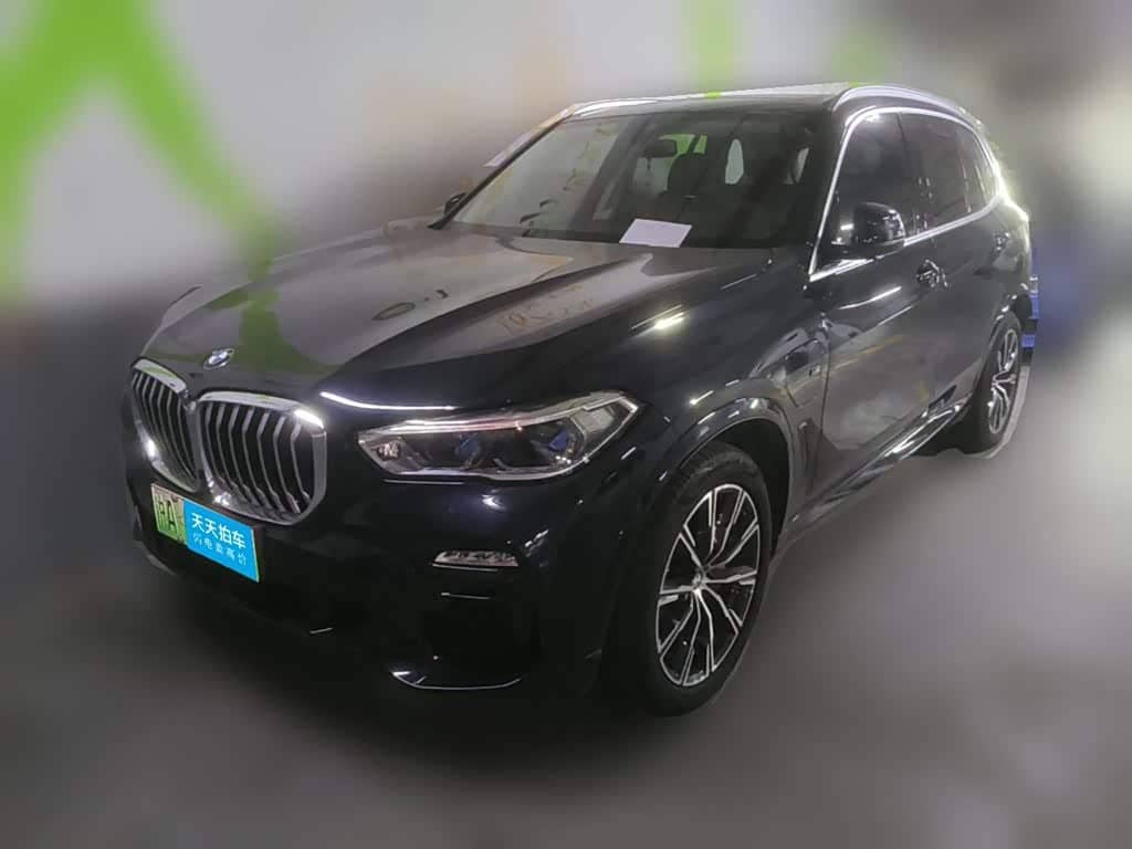 BMW X5 New Energy