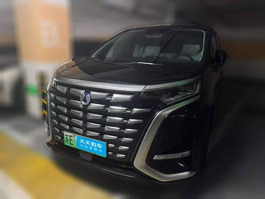 Denza D9