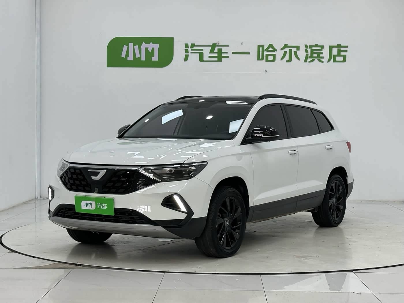 Jetta VS7