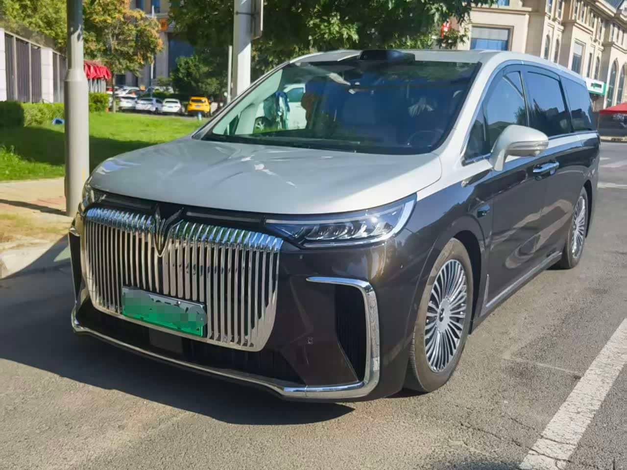 Voyah Auto Voyah Dreamer
