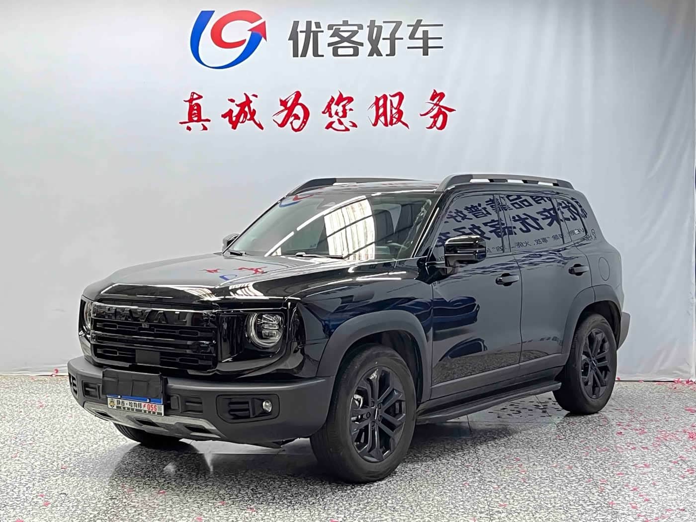 Haval Big Dog