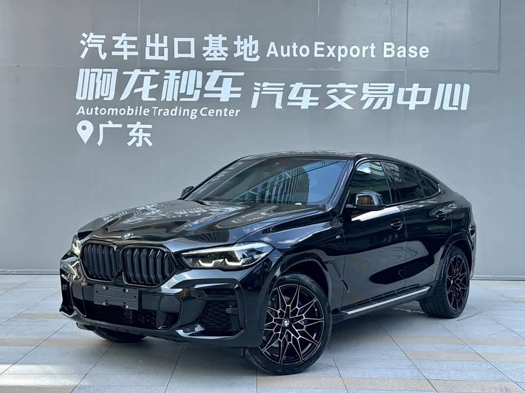 BMW X6