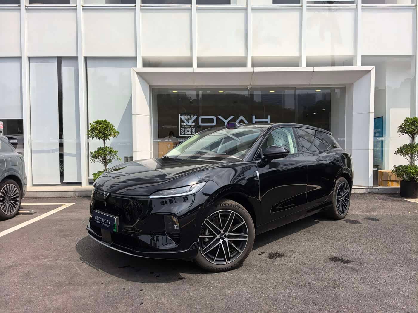 Voyah Auto Voyah Zhiyin