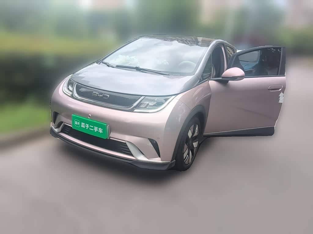 BYD Dolphin