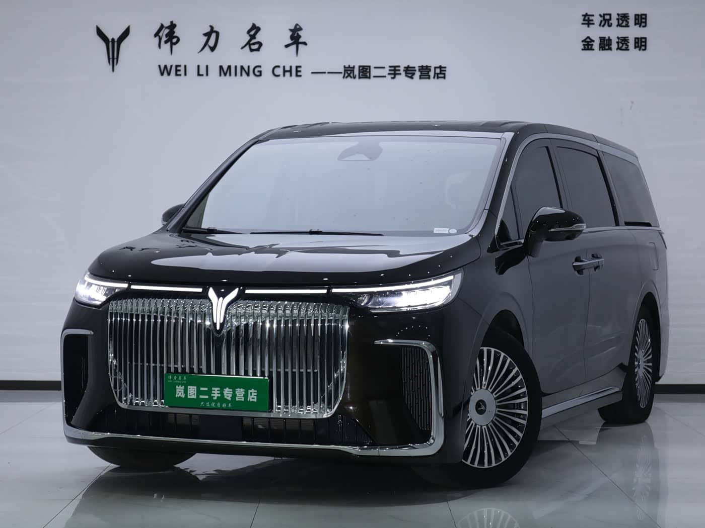 Voyah Auto Voyah Dreamer