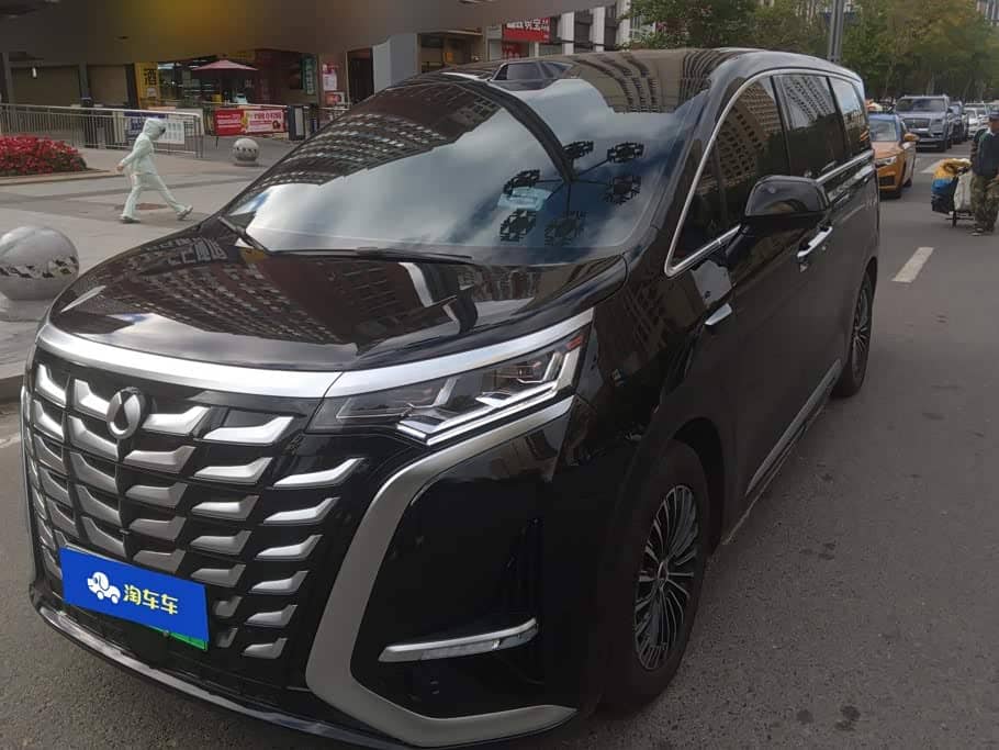 Denza D9