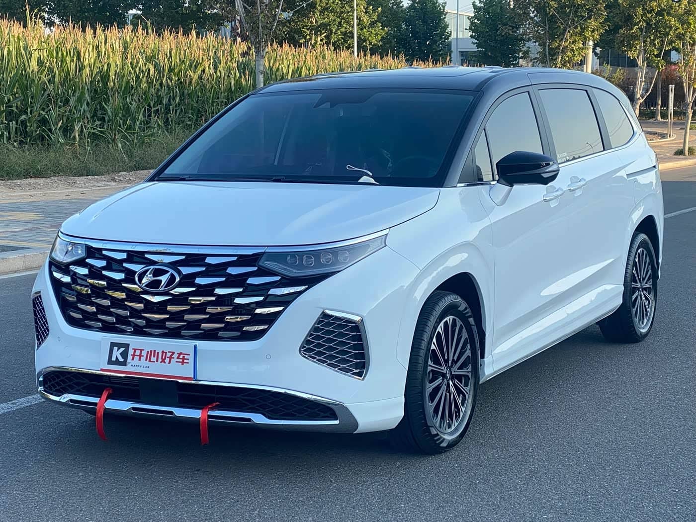 Hyundai Kustu