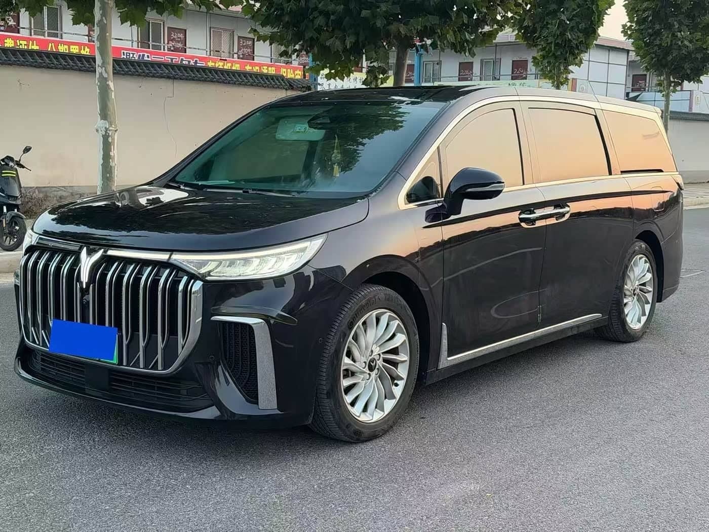 Voyah Auto Voyah Dreamer