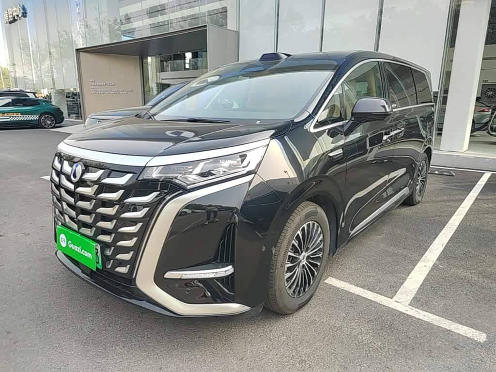 Denza D9