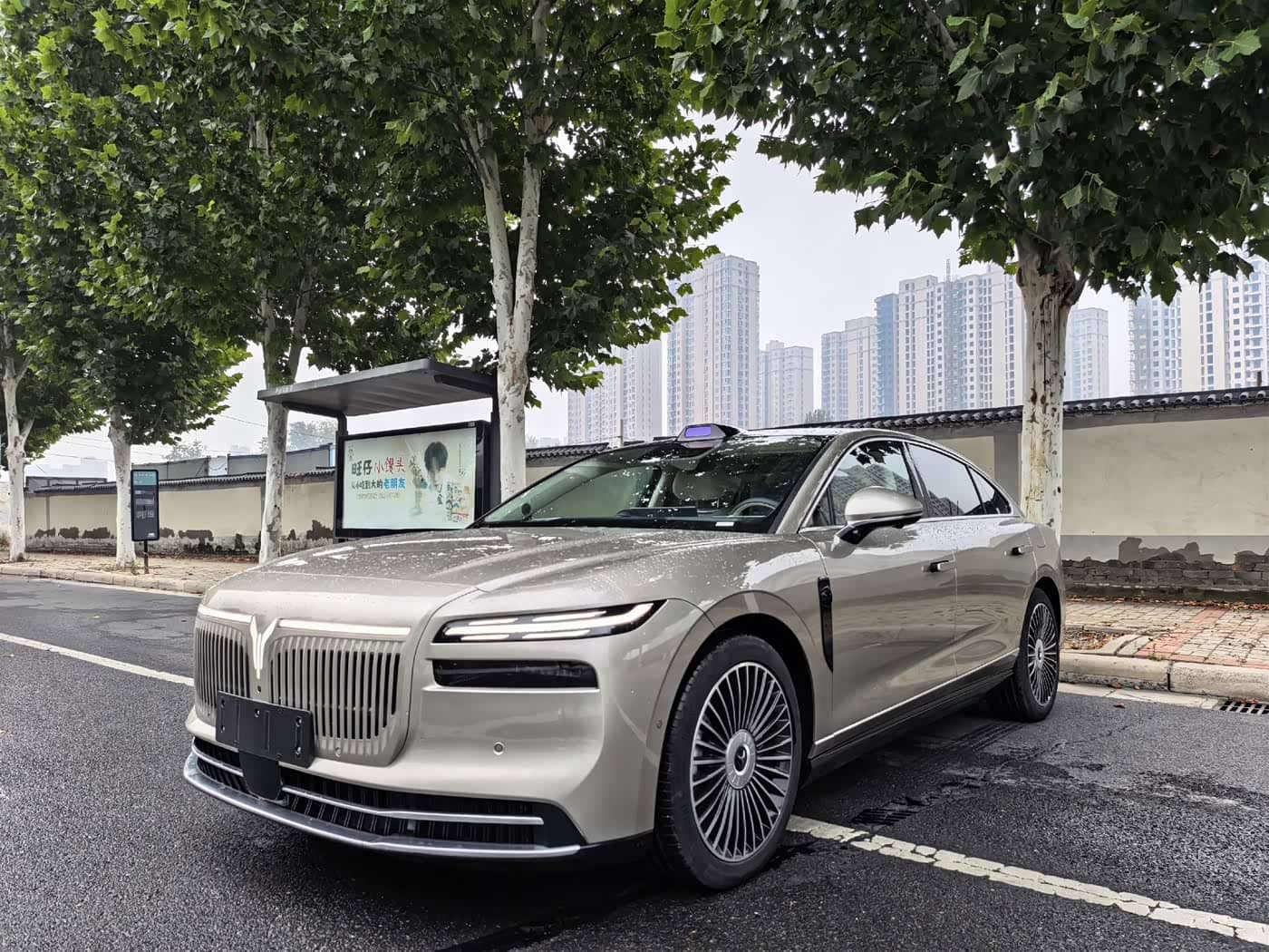 Voyah Auto VOYAH Zhuiguang L