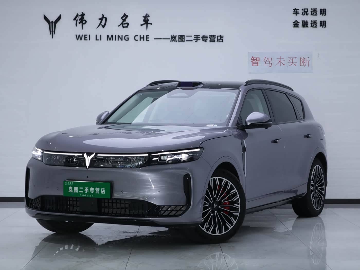 Voyah Auto VOYAH FREE