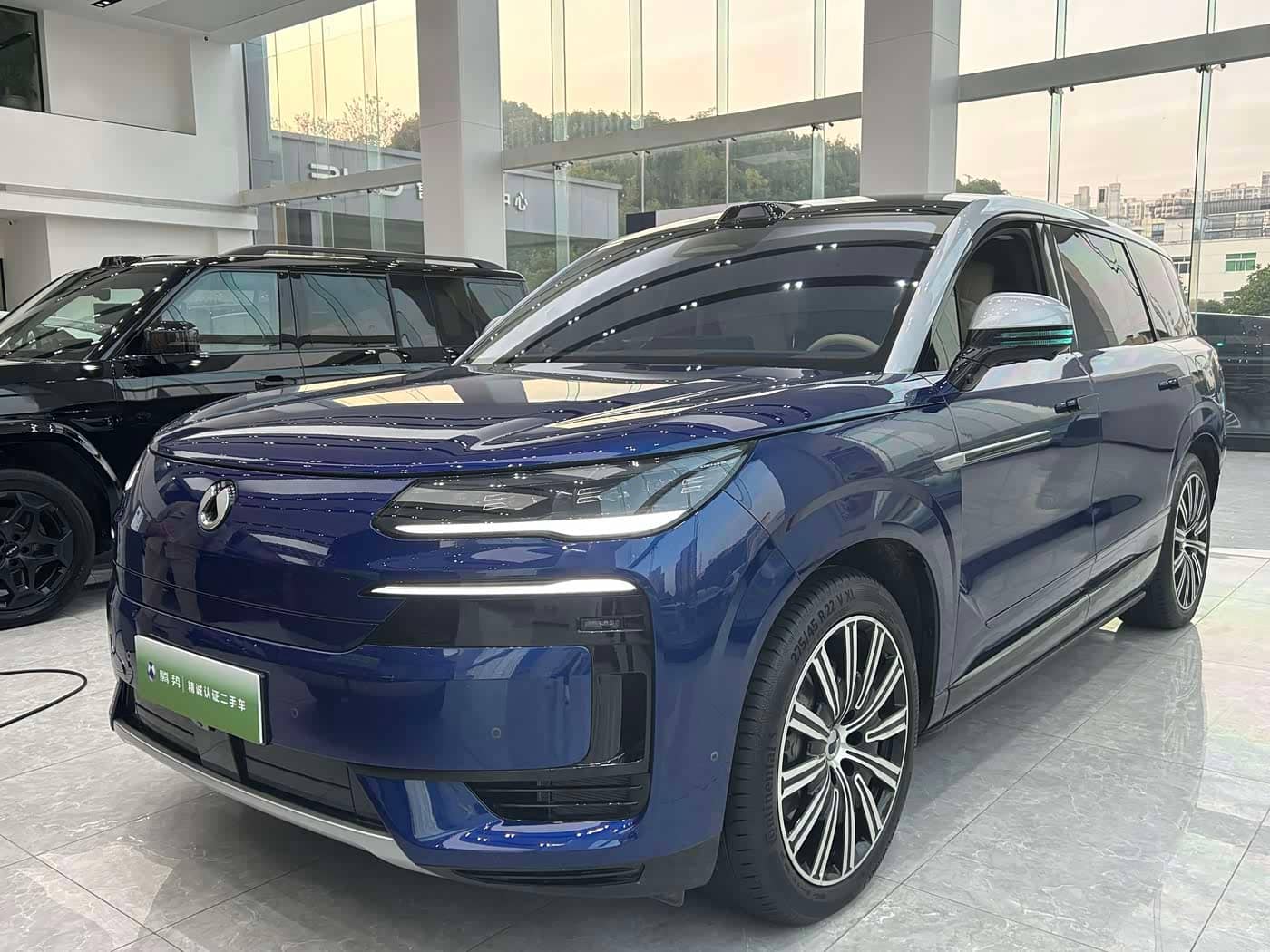 Denza N9