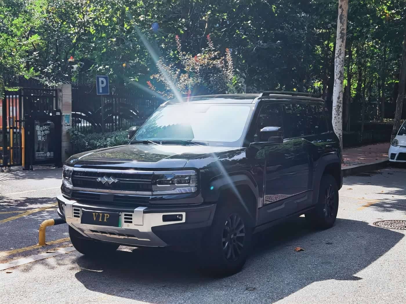 Fang Cheng Bao Leopard 5