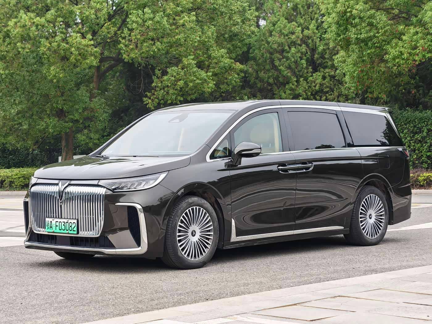Voyah Auto Voyah Dreamer