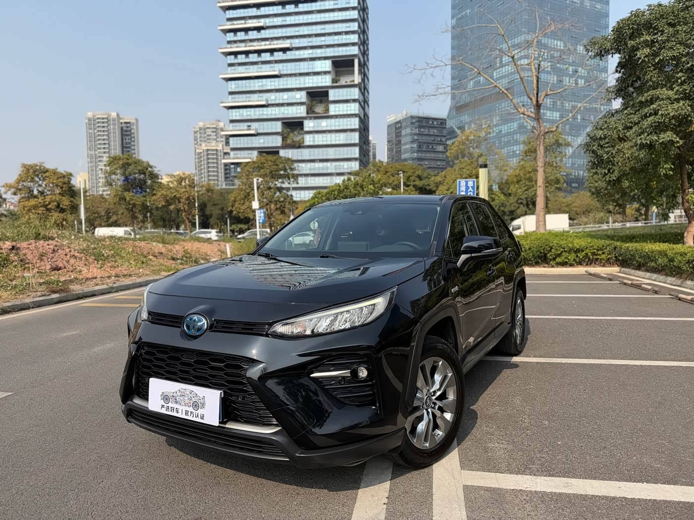 Toyota Wildlander