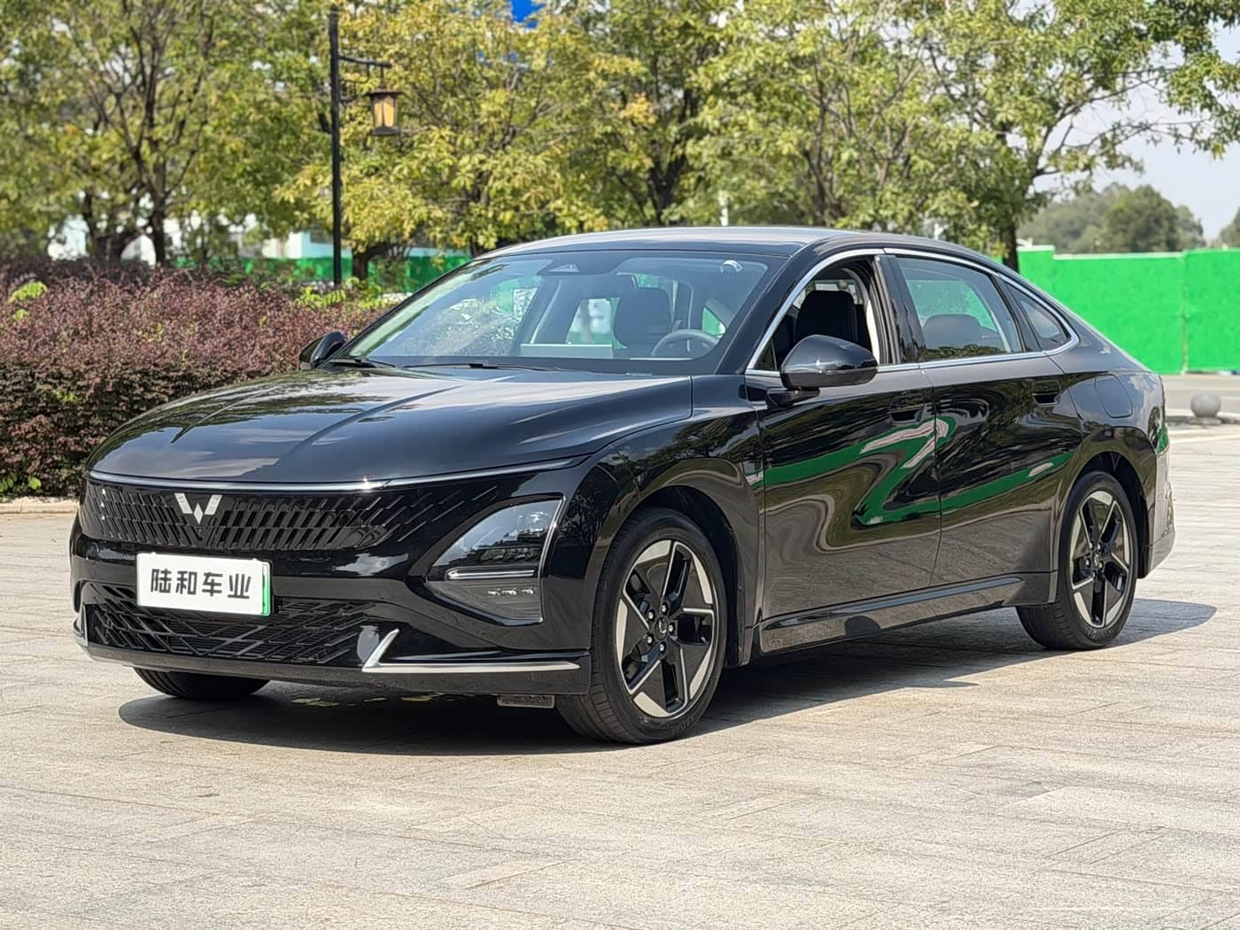 Wuling Motors Wuling Xingguang