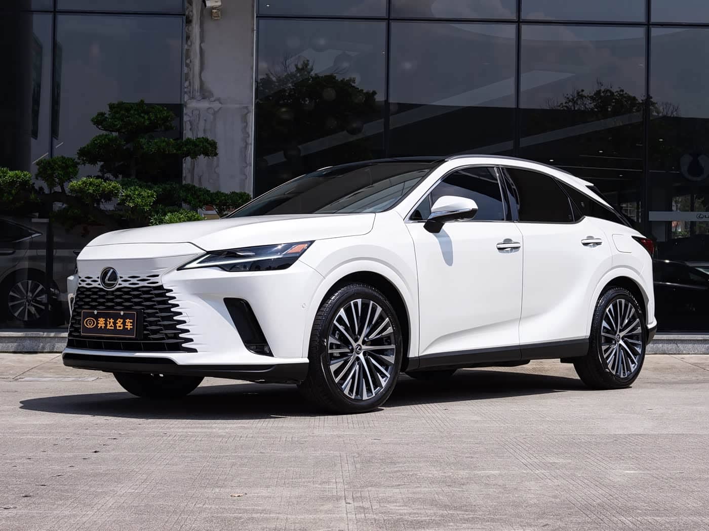 Lexus RX New Energy