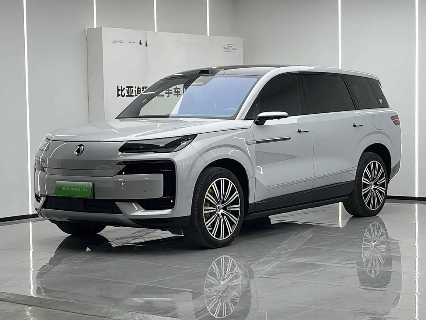 Denza N9
