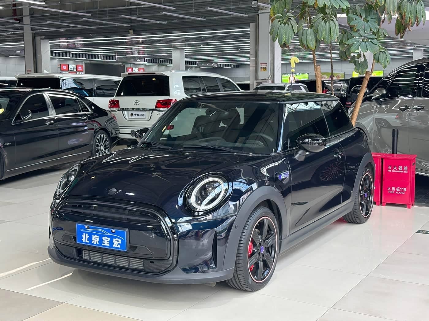 MINI MINI