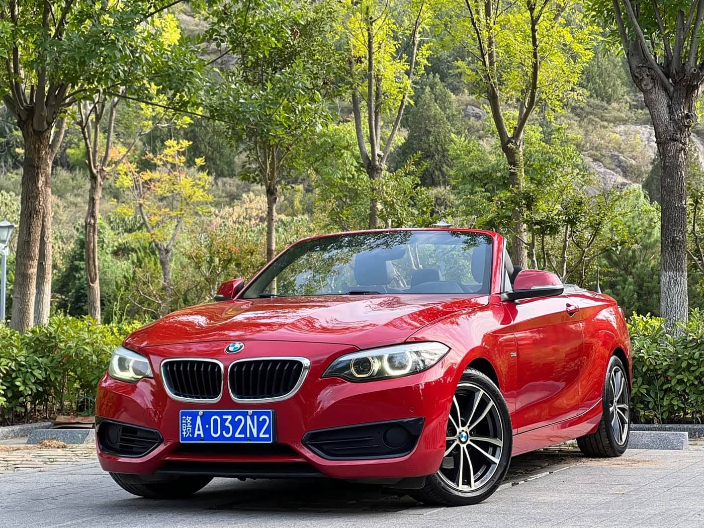 BMW 2 Series