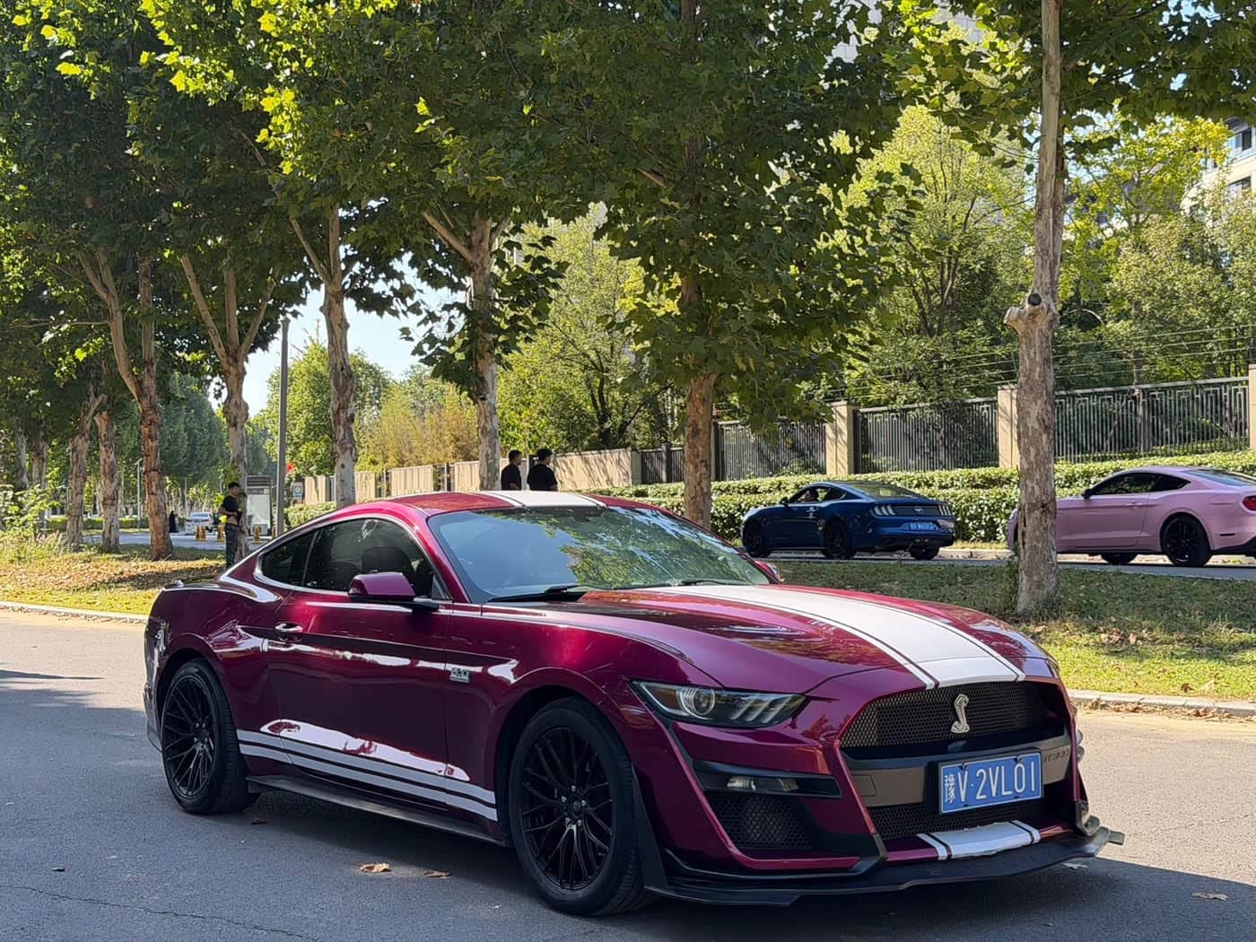 Ford Mustang