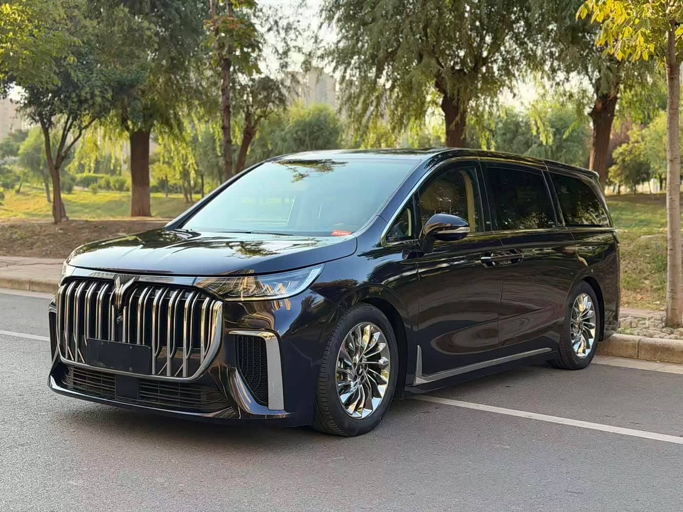 Voyah Auto Voyah Dreamer