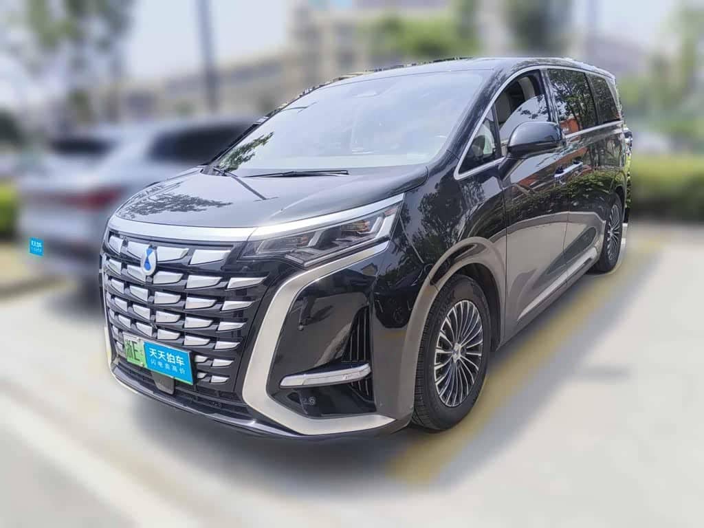 Denza D9