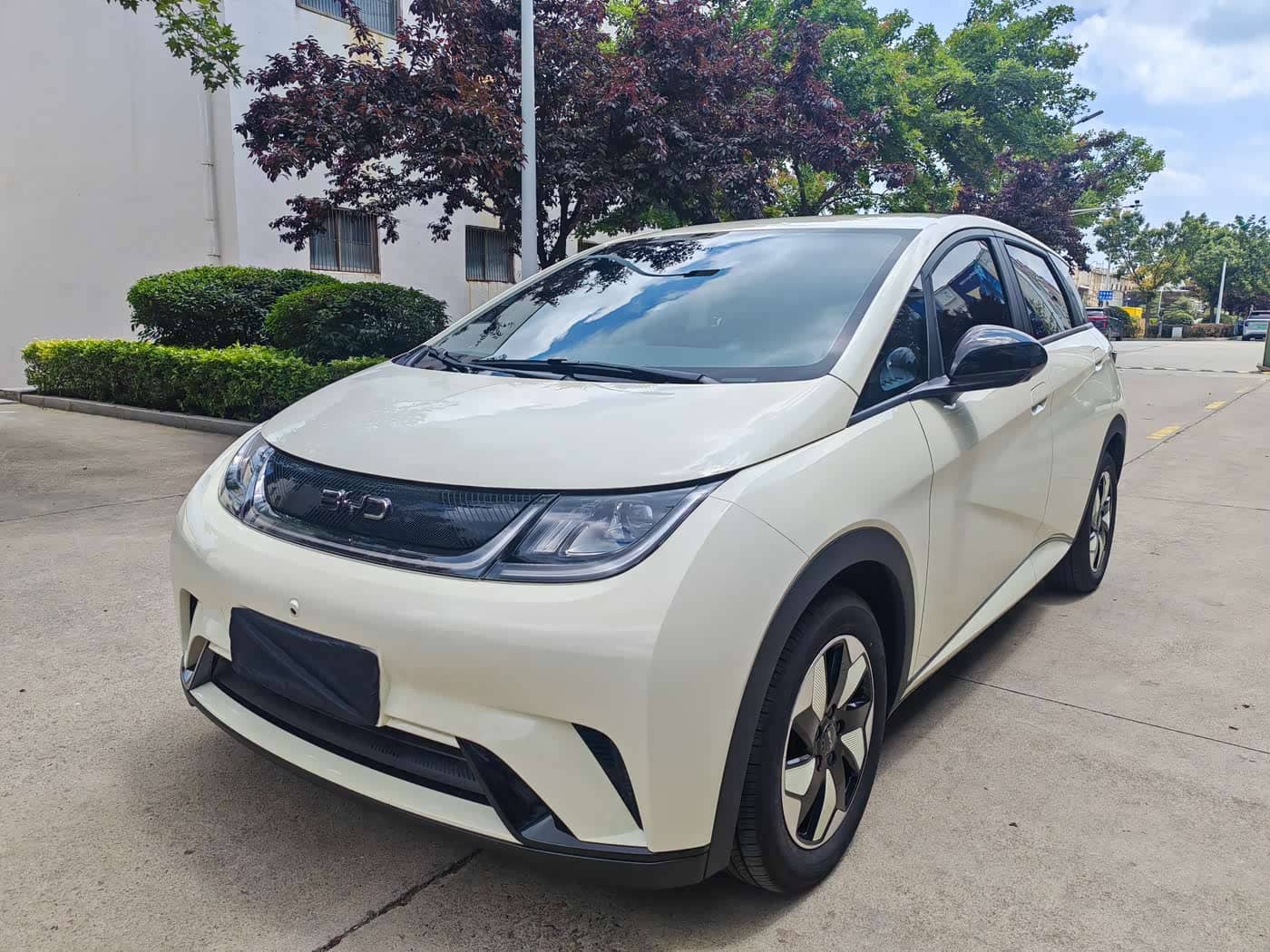 BYD Dolphin