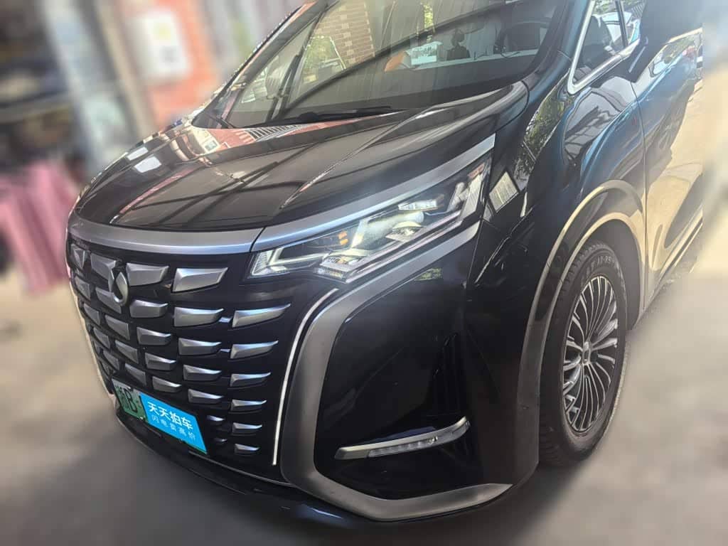 Denza D9