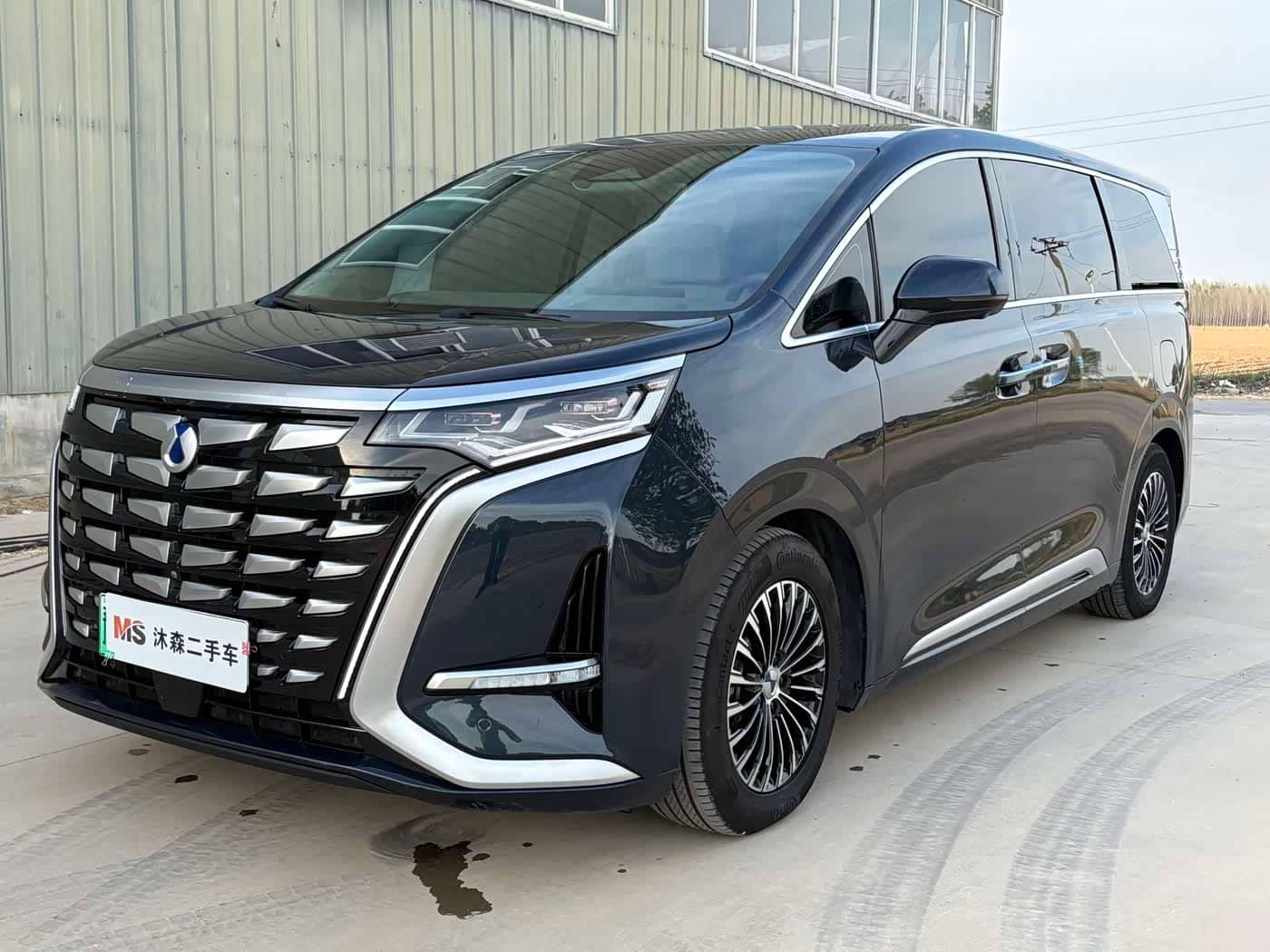 Denza D9