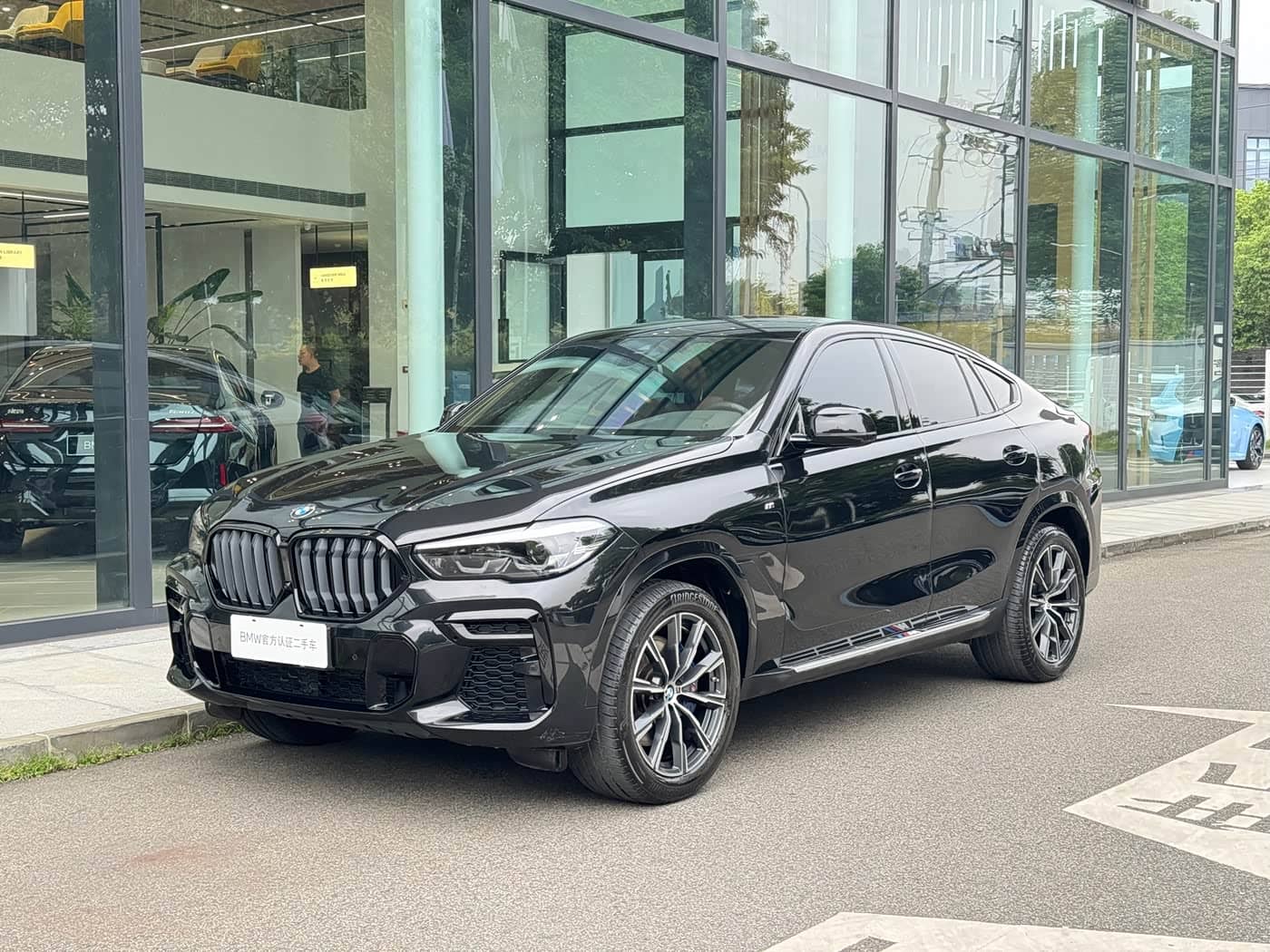 BMW X6