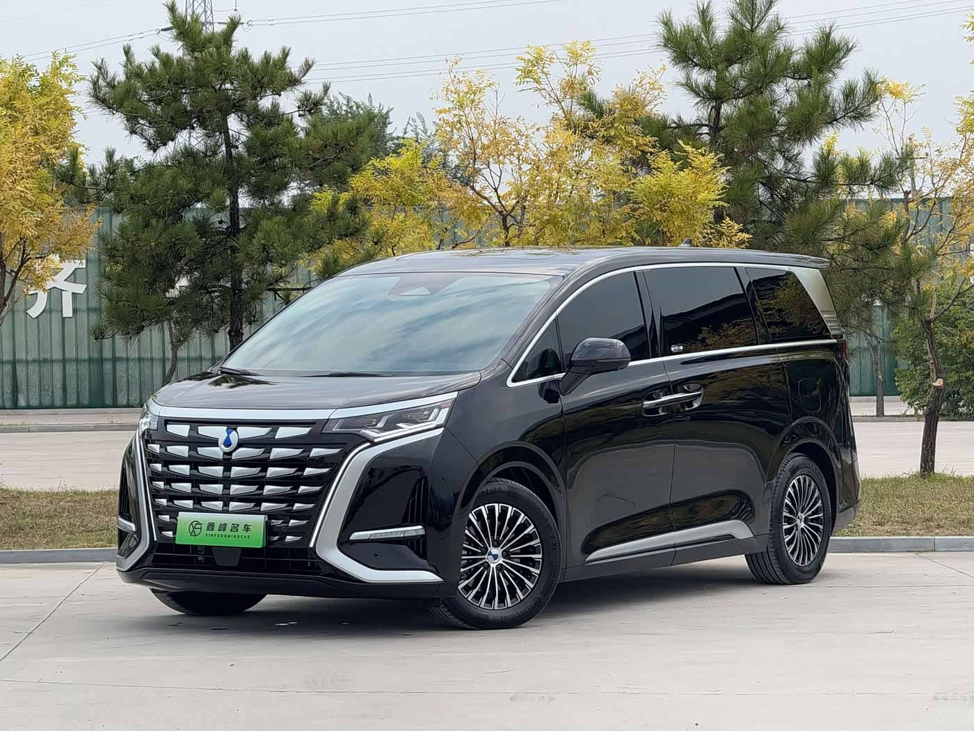 Denza D9