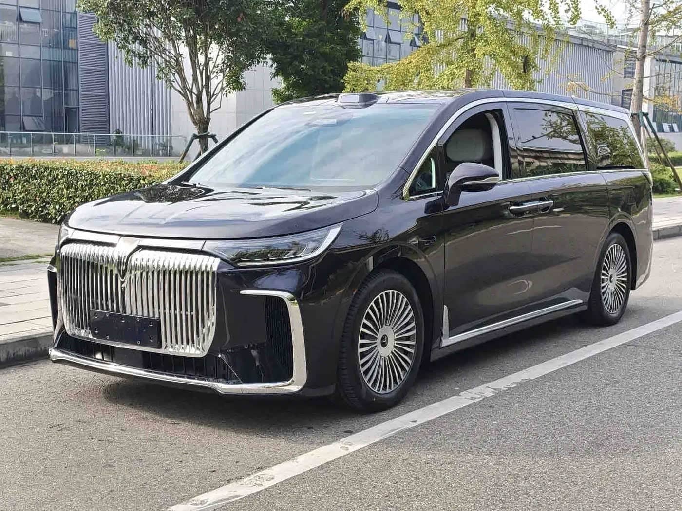 Voyah Auto Voyah Dreamer