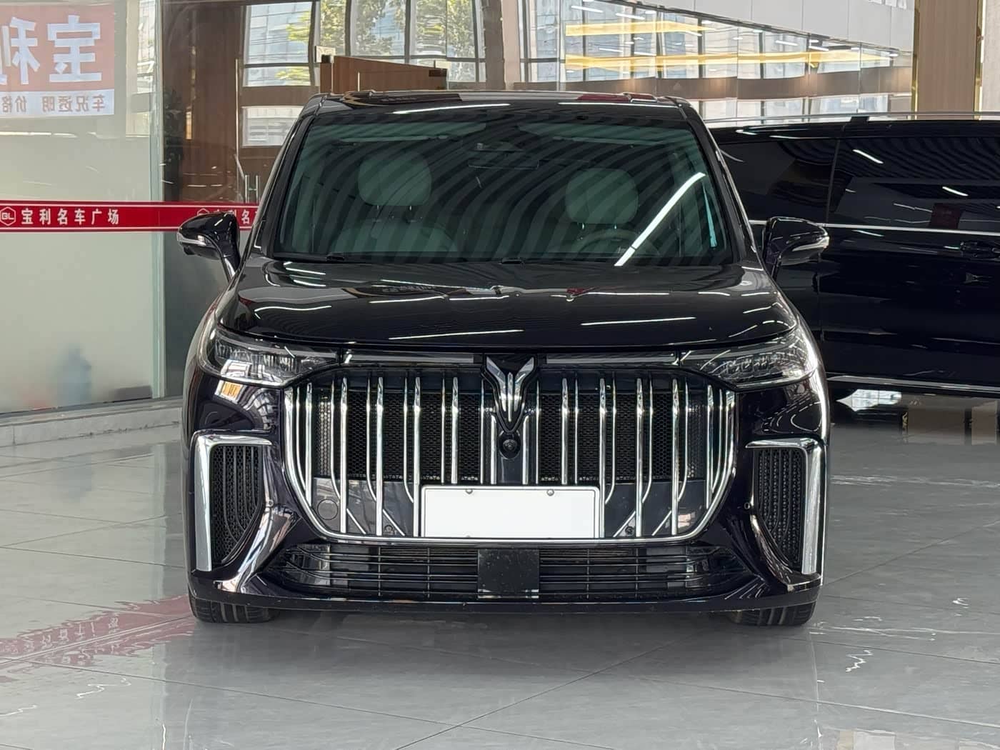 Voyah Auto Voyah Dreamer