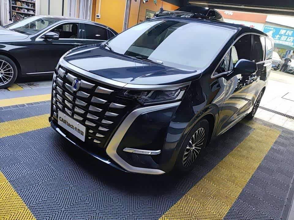 Denza D9