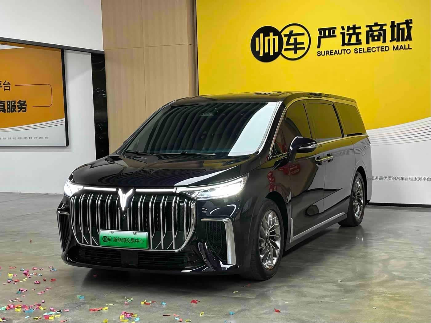 Voyah Auto Voyah Dreamer