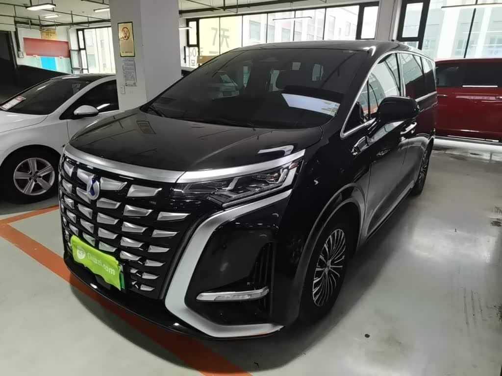 Denza D9