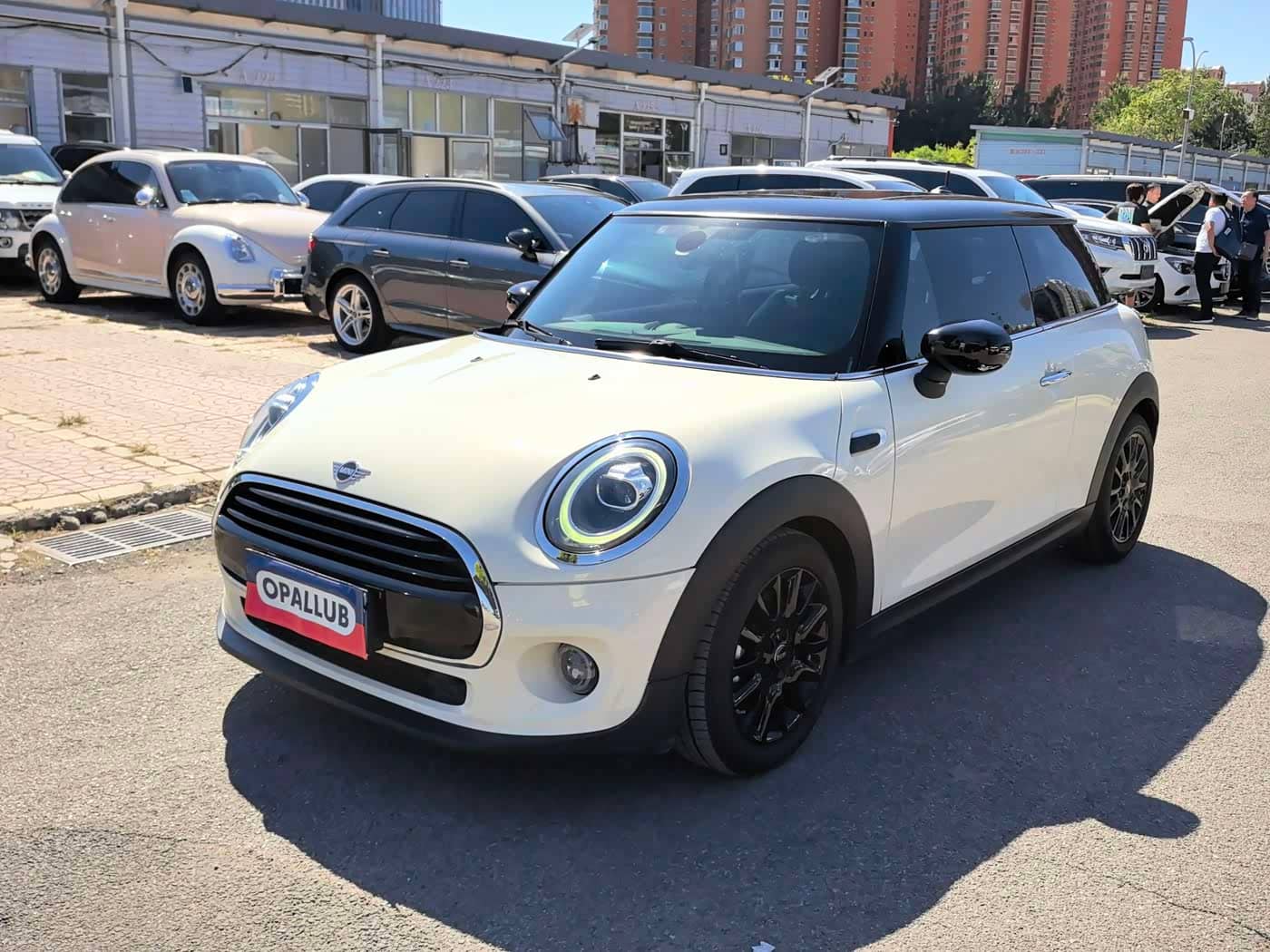 MINI MINI