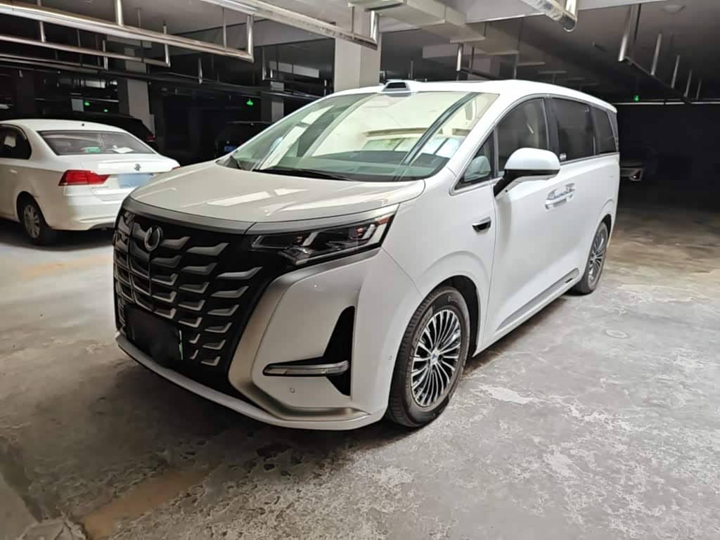 Denza D9