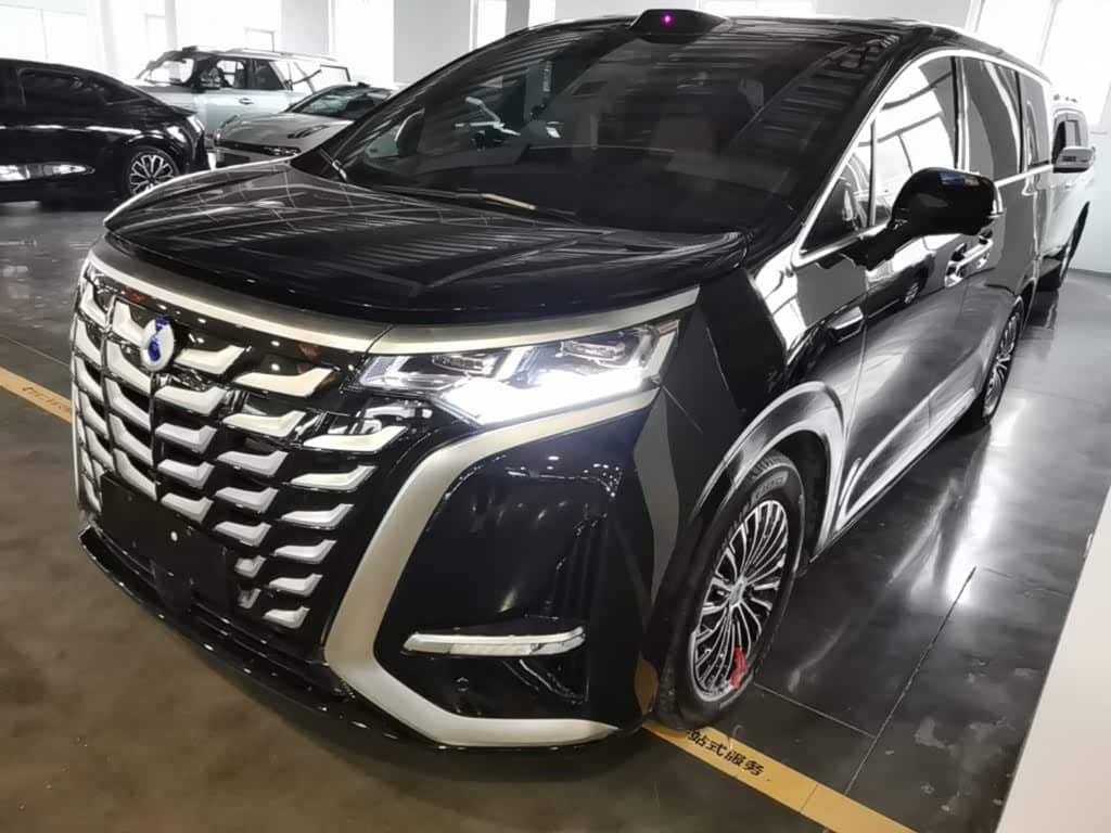 Denza D9