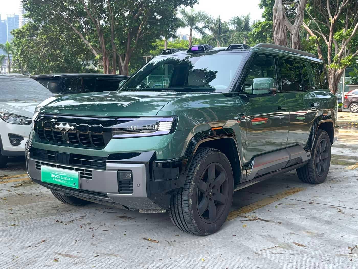 Fang Cheng Bao Leopard 8