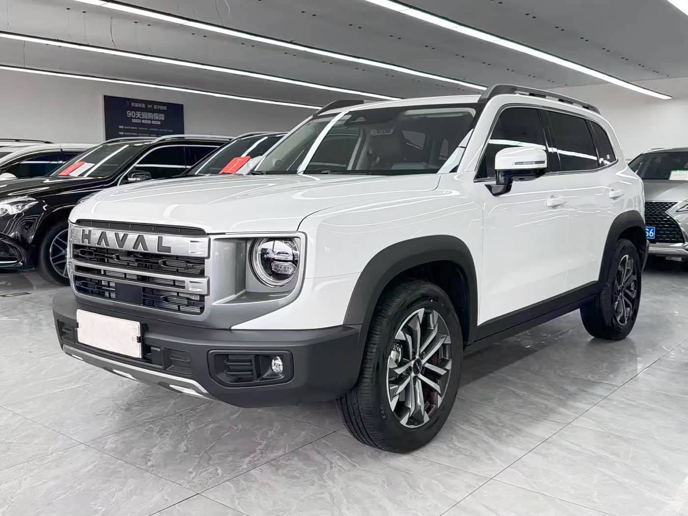 Haval Big Dog
