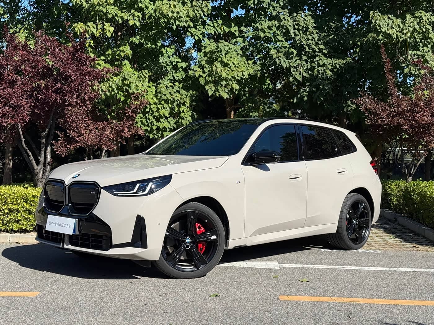 BMW X3 M50