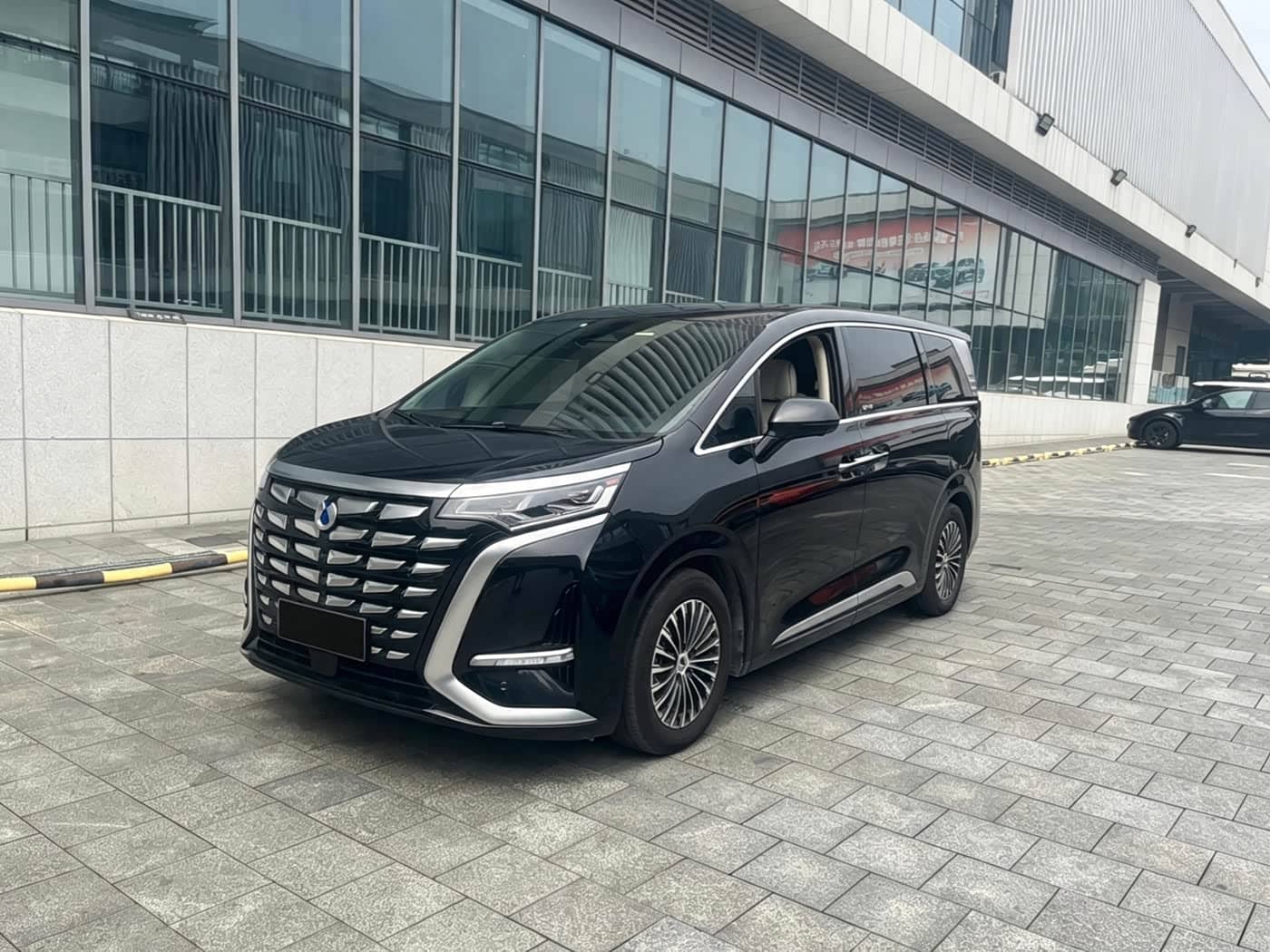 Denza D9