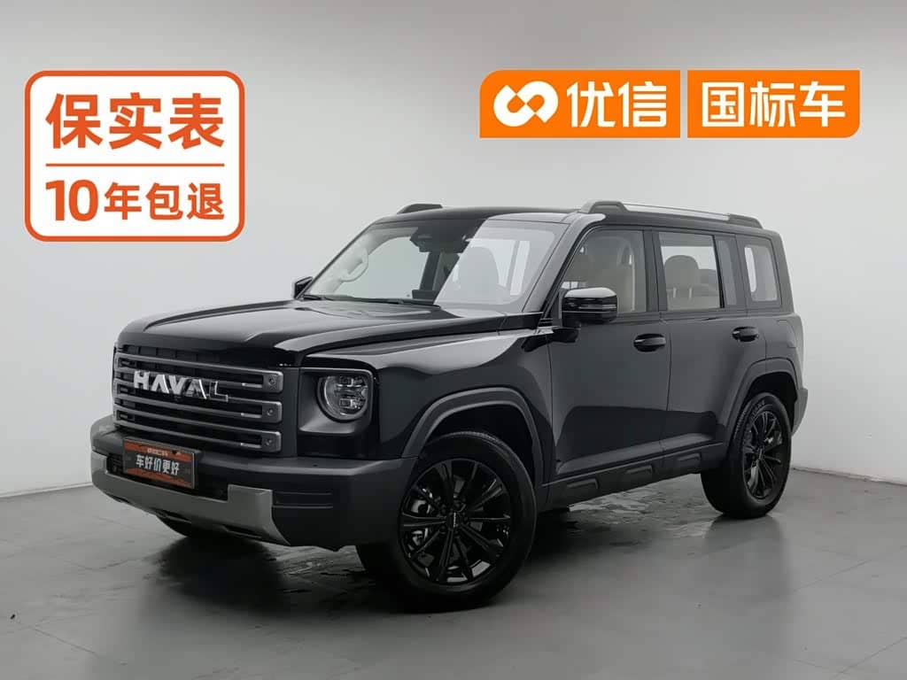 Haval Meng Long NEV