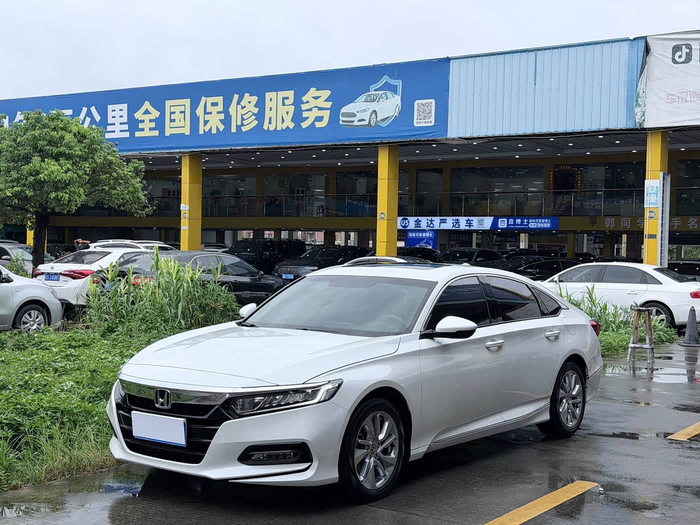 Honda Accord