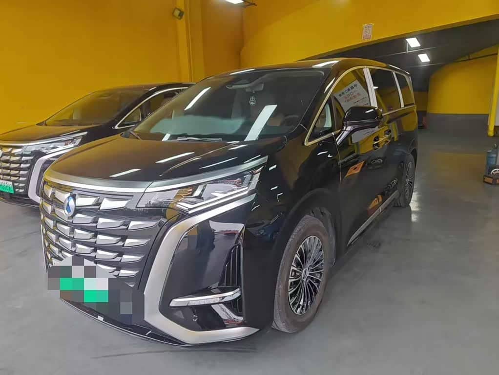 Denza D9