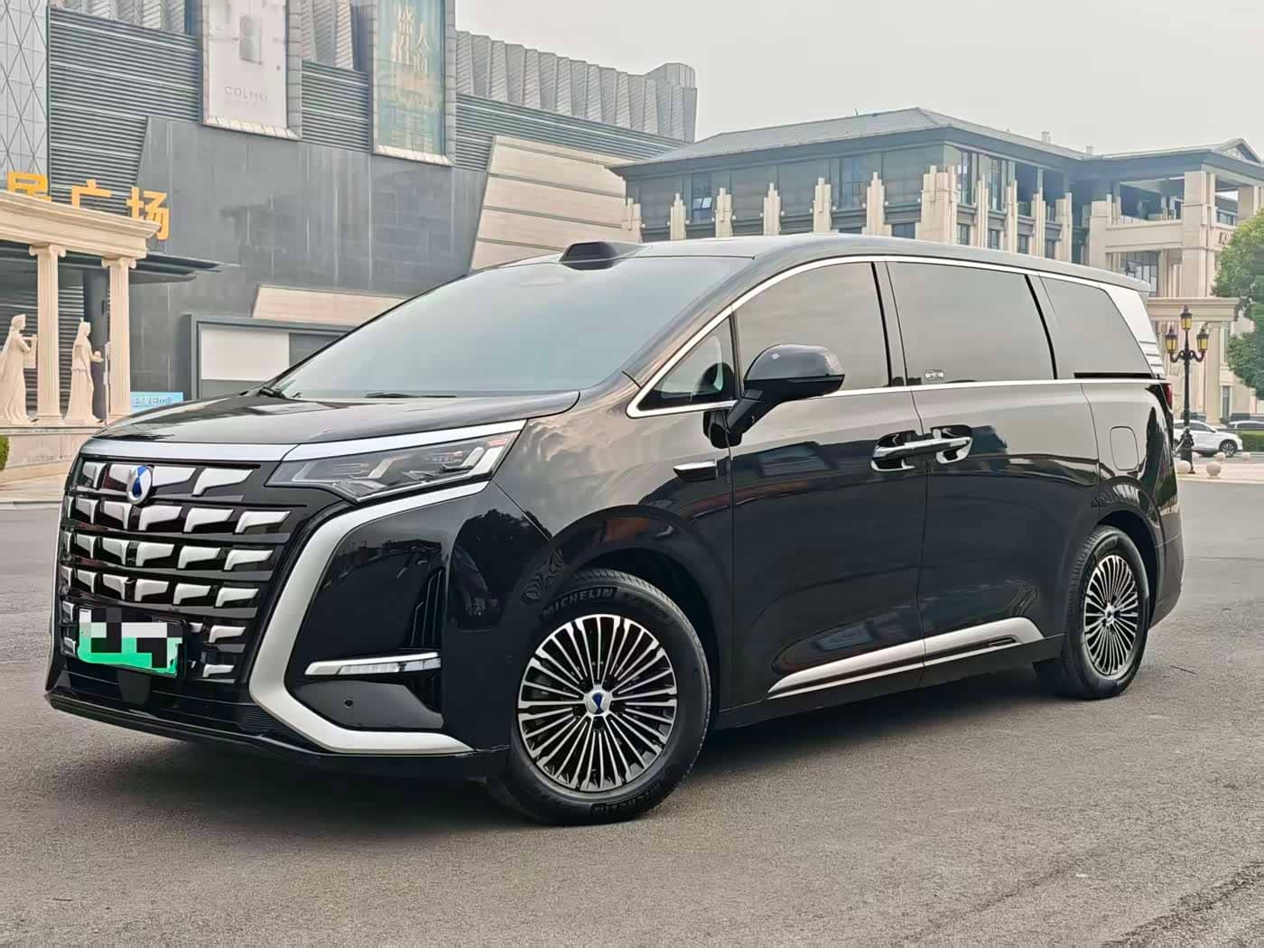 Denza D9