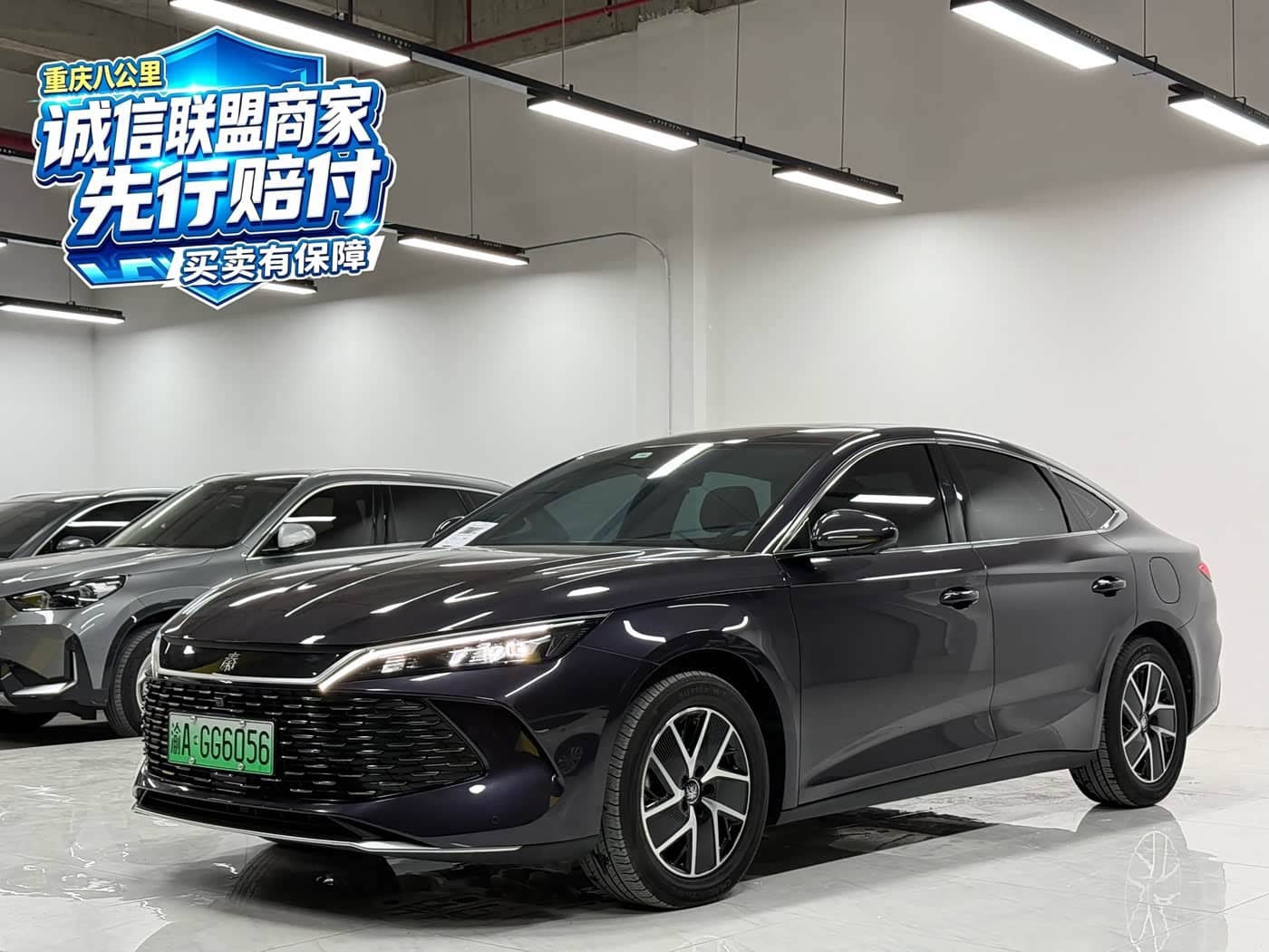 BYD Qin L